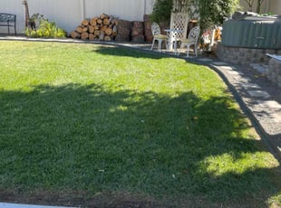 Leonard C.'s turf maintenance service result