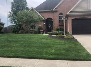 C. A.'s landscaping services service result