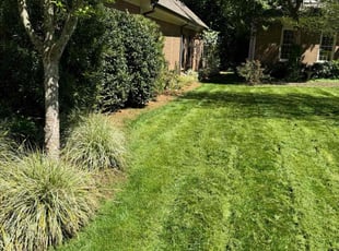 Gary B.'s lawn maintenance service result