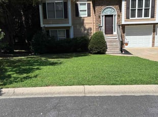 Kurtis L.'s turf maintenance service result