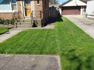 Tina Q.'s Long Grass Cleanup service result