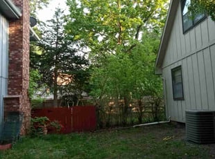 Randi E.'s Bush Trimming service result