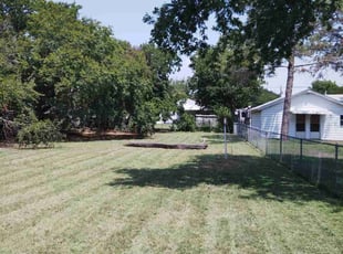 Mustafa S.'s grass cutting service result