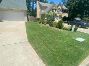 Georgia C.'s turf care service result