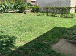 Michael Z.'s lawn care services service result