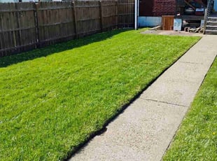 Sandy V.'s lawn care service result