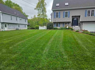 Sharon R.'s grass maintenance service result