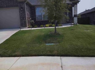 Chase M.'s Lawn Mowing service result