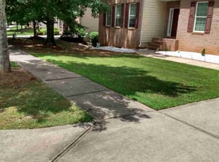 Ryan H.'s lawn service service result