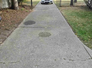 Olga H.'s lawn service service result