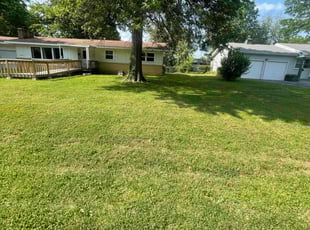Tasscia W.'s lawn maintenance service result
