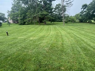 Jeff C.'s grass maintenance service result