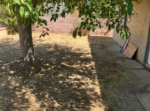 Jeff B.'s grass cutting service result