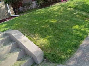 Neil K.'s lawn service service result