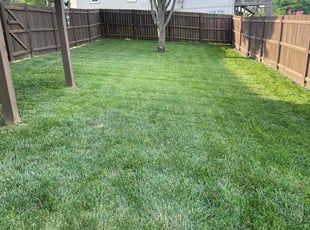 Stephon R.'s landscaping services service result