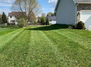 Farida K.'s turf care service result