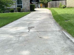 Theresa W.'s yard service service result