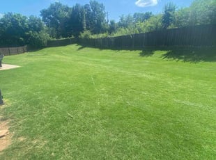 Surinder M.'s lawn care services service result