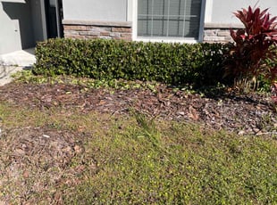 John C.'s Bush Trimming service result