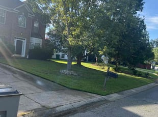 Rochelle B.'s grass cutting service result