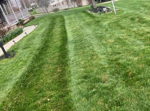 Robert J.'s lawn maintenance service result