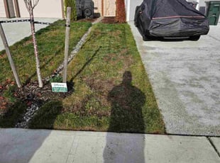 Malissa W.'s lawn maintenance service result