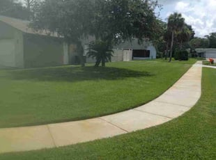 Jonette I.'s lawn maintenance service result