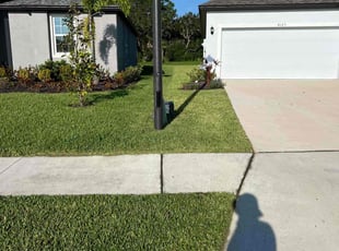 Elizabeth W.'s lawn care service result