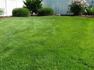 Margaret E.'s grass maintenance service result