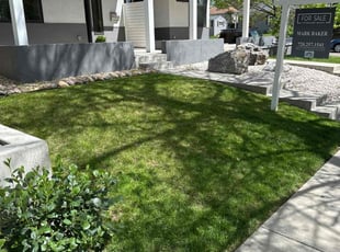 Beth M.'s lawn service service result