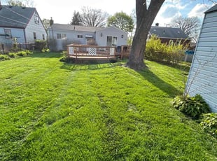 Mark C.'s turf maintenance service result