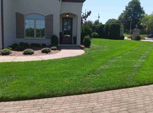 Ken F.'s lawn service service result