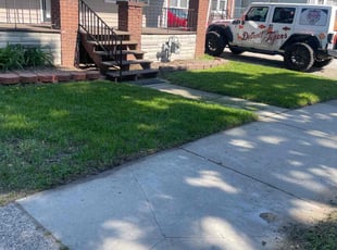 Lisa G.'s grass maintenance service result