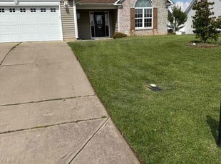 Aramis A.'s turf maintenance service result