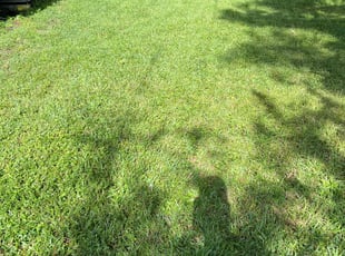 Cordell K.'s lawn care services service result
