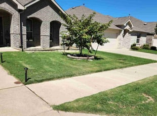 Briana F.'s grass cutting service result