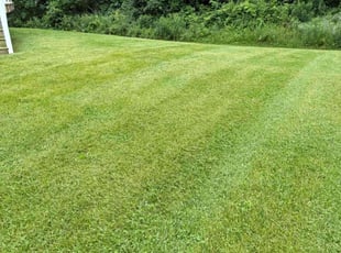 Damon S.'s lawn care services service result