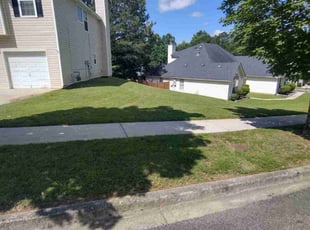 Alicia B.'s turf care service result