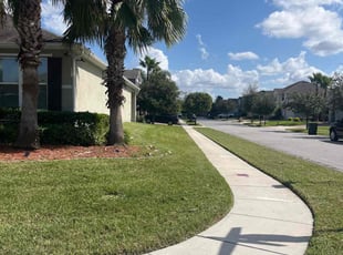 Norma M.'s lawn care service result