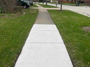 Angel H.'s lawn service service result
