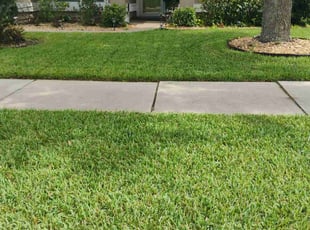 Jerrie M.'s turf care service result
