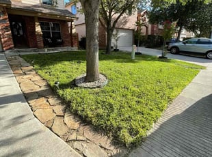 Bonnie S.'s grass cutting service result