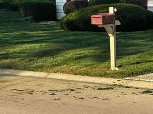 Dondre R.'s lawn maintenance service result