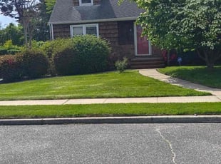 Dejordan E.'s grass maintenance service result