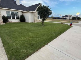 Michael B.'s lawn care service result