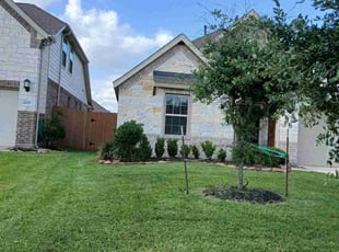 Todd S.'s lawn care services service result