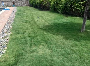 Juan G.'s grass cutting service result