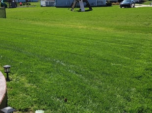 James M.'s lawn care services service result