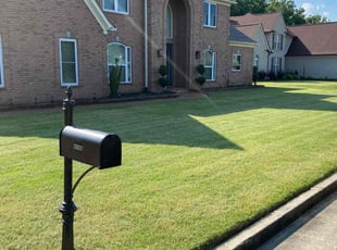 Caley W.'s lawn care service result