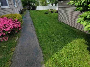 Blanchie H.'s grass maintenance service result